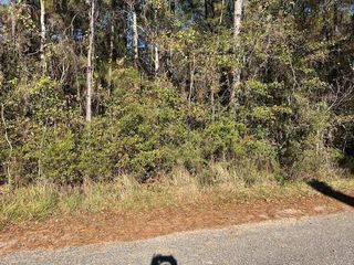 0 Bayou Road, Bayou La Batre, AL 36509