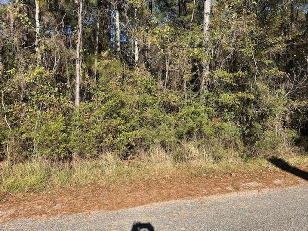 0 Bayou Road, Bayou La Batre, AL 36509