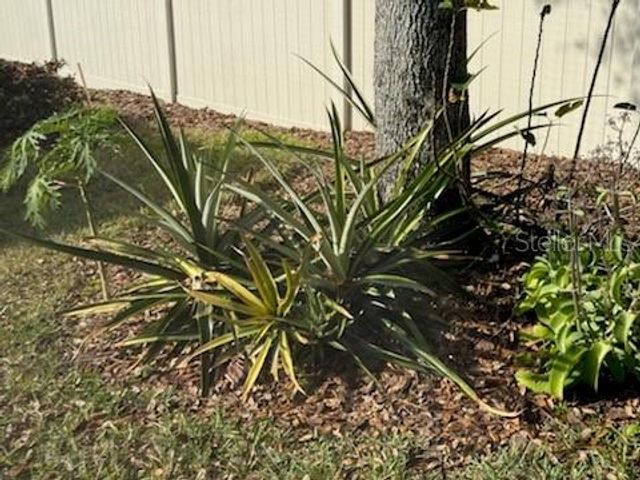 30725 LIPIZZAN TERRACE, Mount Dora, FL 32757