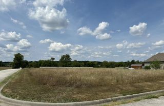 #13-5497 Anita Ave Avenue, Pleasant Hope, MO 65725