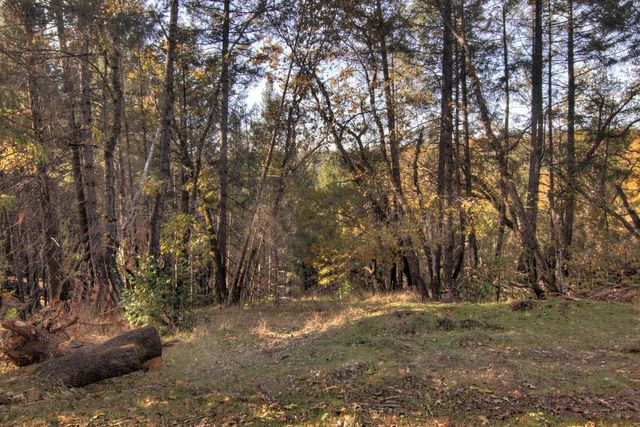 2470 Buffalo Hill Rd, Georgetown, CA 95634