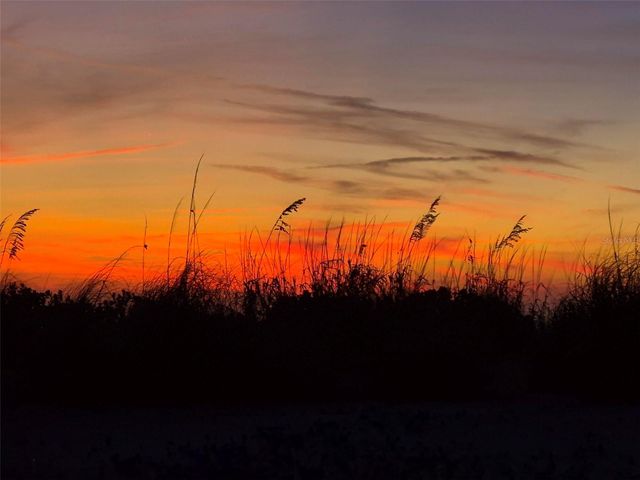 418 NARVAEZI STREET, Venice, FL 34285