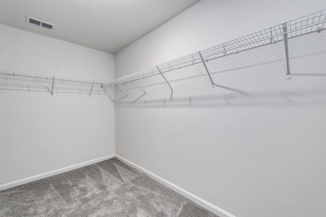 452 Atamasco Ct., Conway, SC 29526