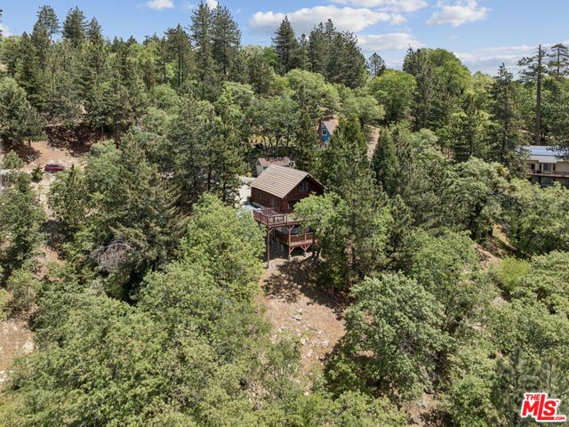 4 Winding Way, Running Springs, CA 92382