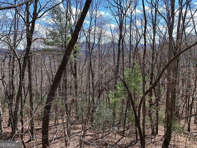 LOT 12 Native Trail, Blue Ridge, GA 30513