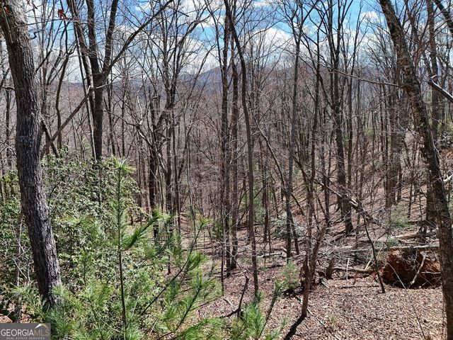 LOT 12 Native Trail, Blue Ridge, GA 30513