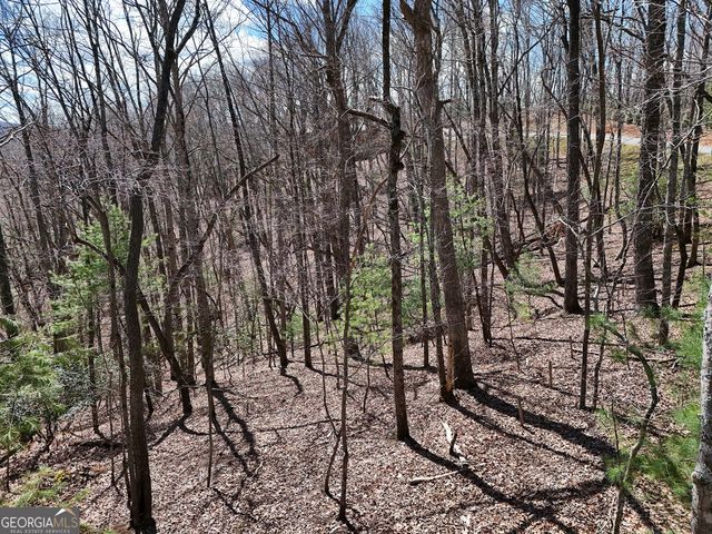 LOT 12 Native Trail, Blue Ridge, GA 30513