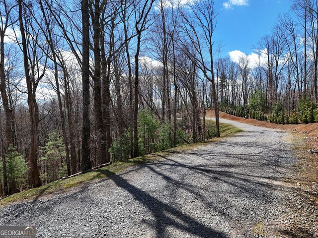 LOT 12 Native Trail, Blue Ridge, GA 30513