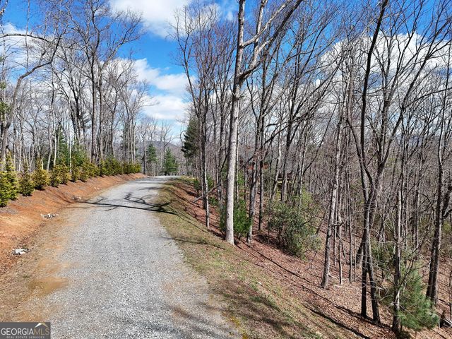 LOT 12 Native Trail, Blue Ridge, GA 30513