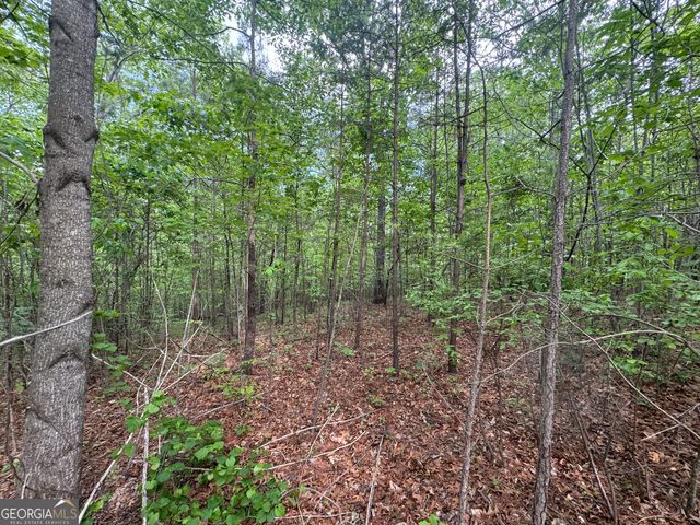 1786 Jones Mountain Road, Jasper, GA 30143