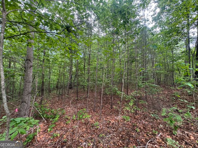 1786 Jones Mountain Road, Jasper, GA 30143