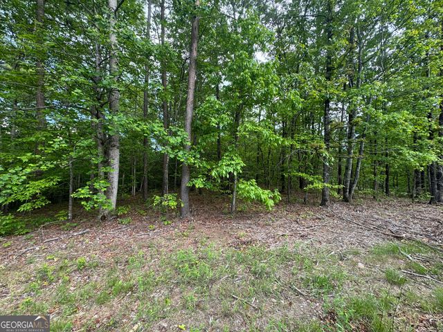 1786 Jones Mountain Road, Jasper, GA 30143