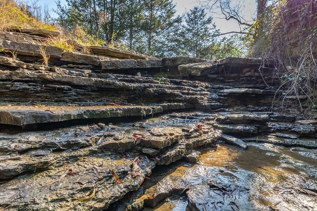 2718 Highway 41A, S, Shelbyville, TN 37160