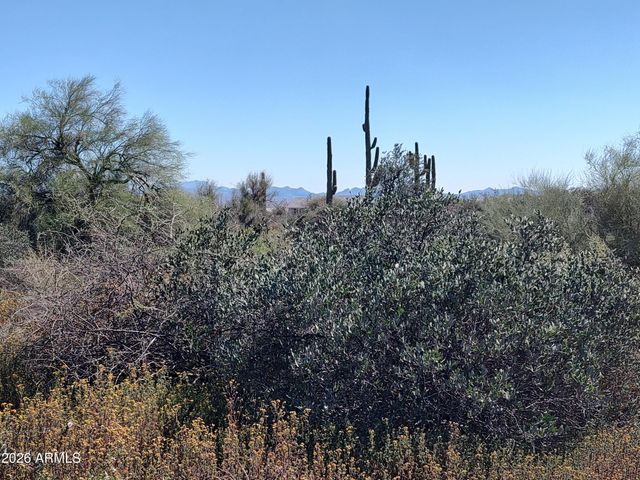 31XXX N 166th Place -, Scottsdale, AZ 85262