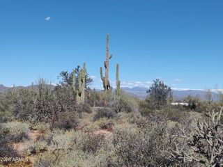 31XXX N 166th Place -, Scottsdale, AZ 85262