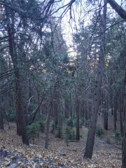 0 Reservoir, Cedarpines Park, CA 92322