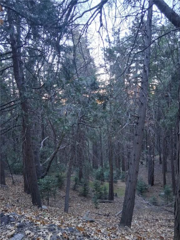 0 Reservoir, Cedarpines Park, CA 92322