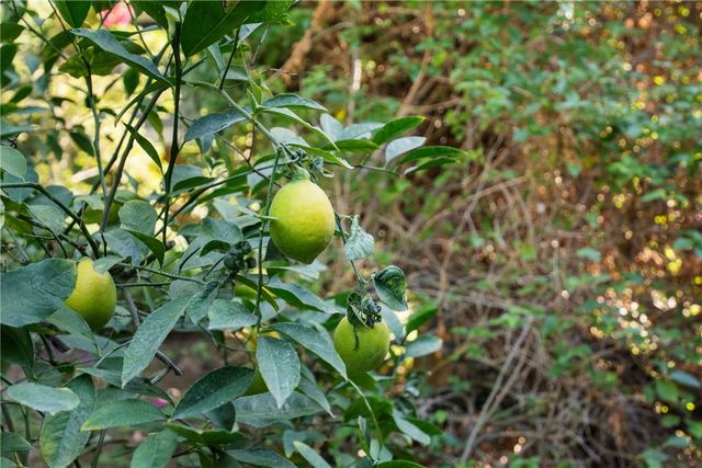 1453 Tiger Tail, Riverside, CA 92506