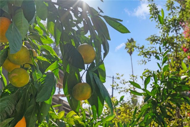 1453 Tiger Tail, Riverside, CA 92506