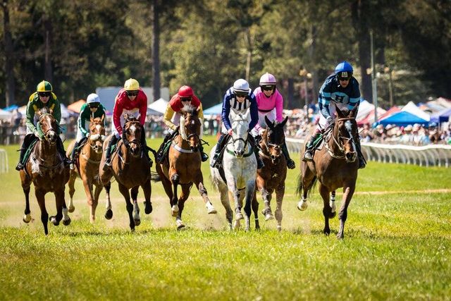 494 Long Shadow Drive, Aiken, SC 29803