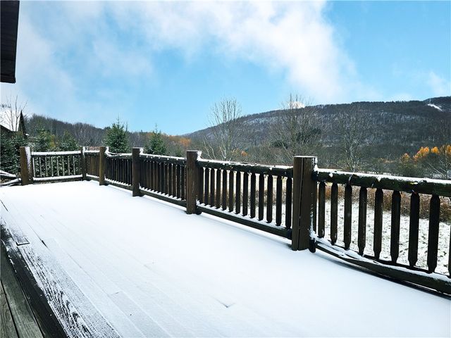 2050 Kypriotis Drive, Virgil, NY 13045