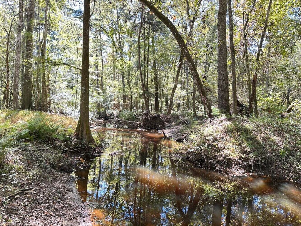 Image 1 of property listing at 0 Big Bird Lane, Summerville, SC 29483