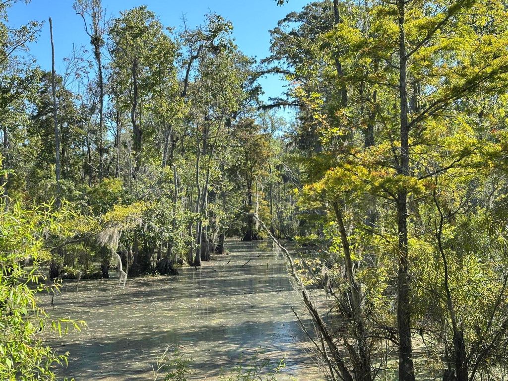 Image 11 of property listing at 0 Big Bird Lane, Summerville, SC 29483