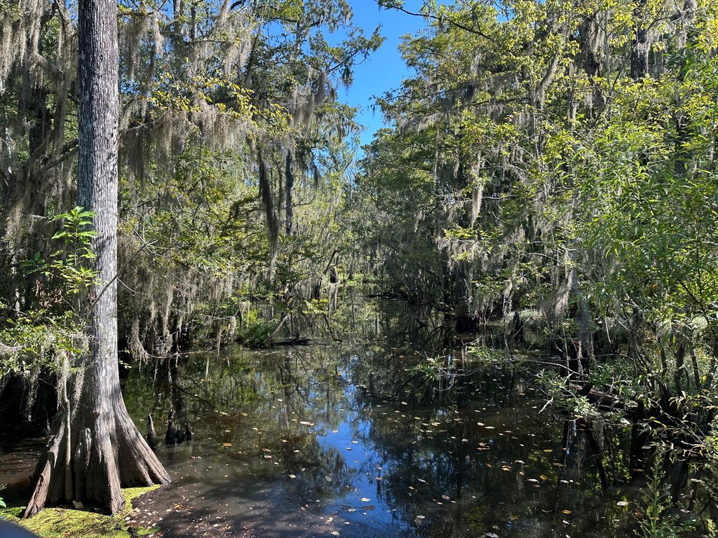 Image 12 of property listing at 0 Big Bird Lane, Summerville, SC 29483