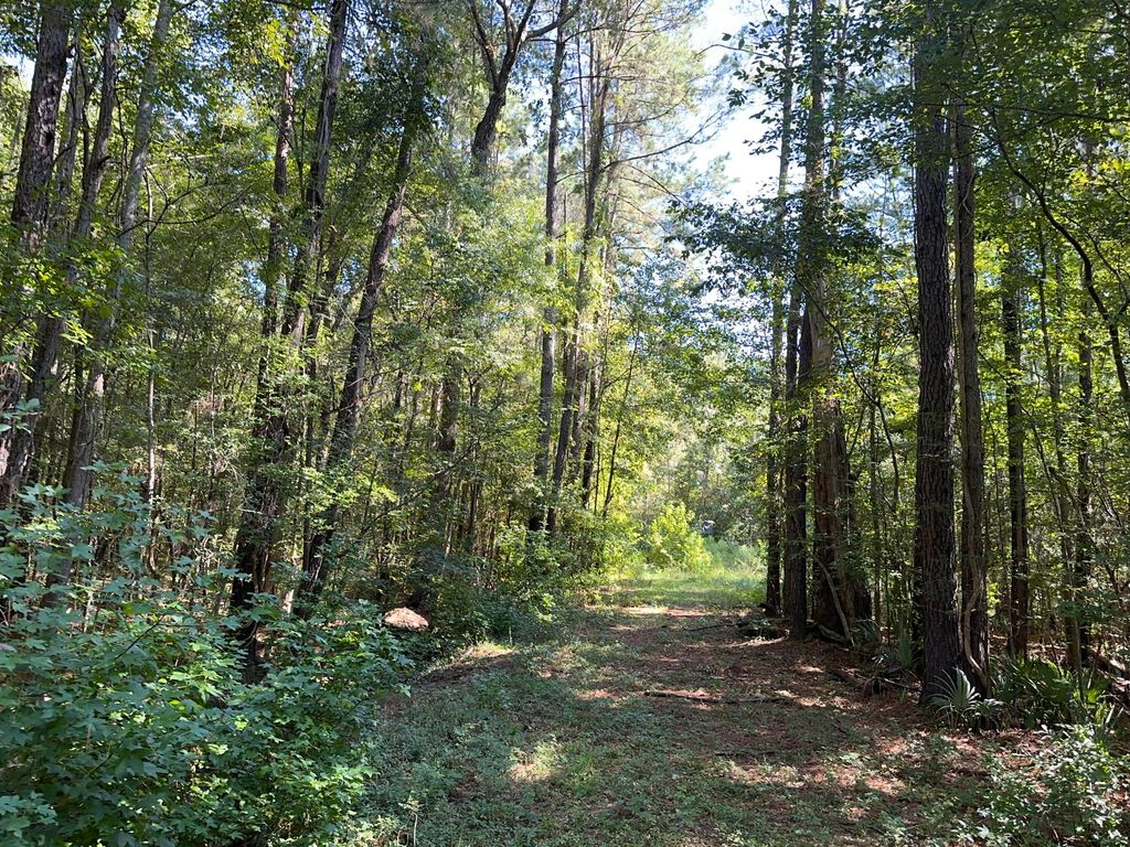 Image 13 of property listing at 0 Big Bird Lane, Summerville, SC 29483