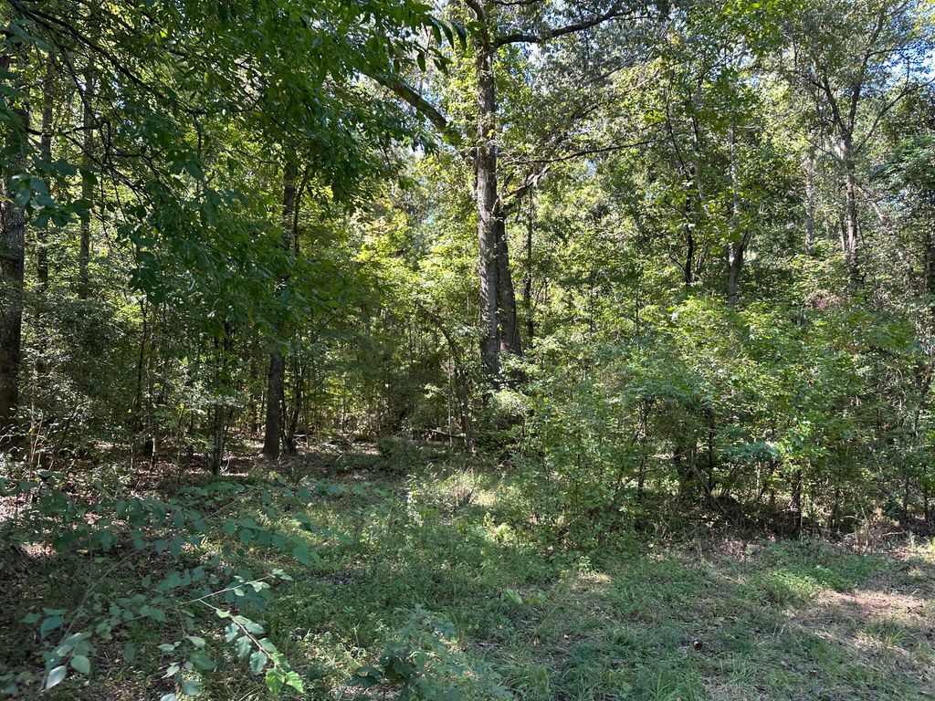 Image 16 of property listing at 0 Big Bird Lane, Summerville, SC 29483