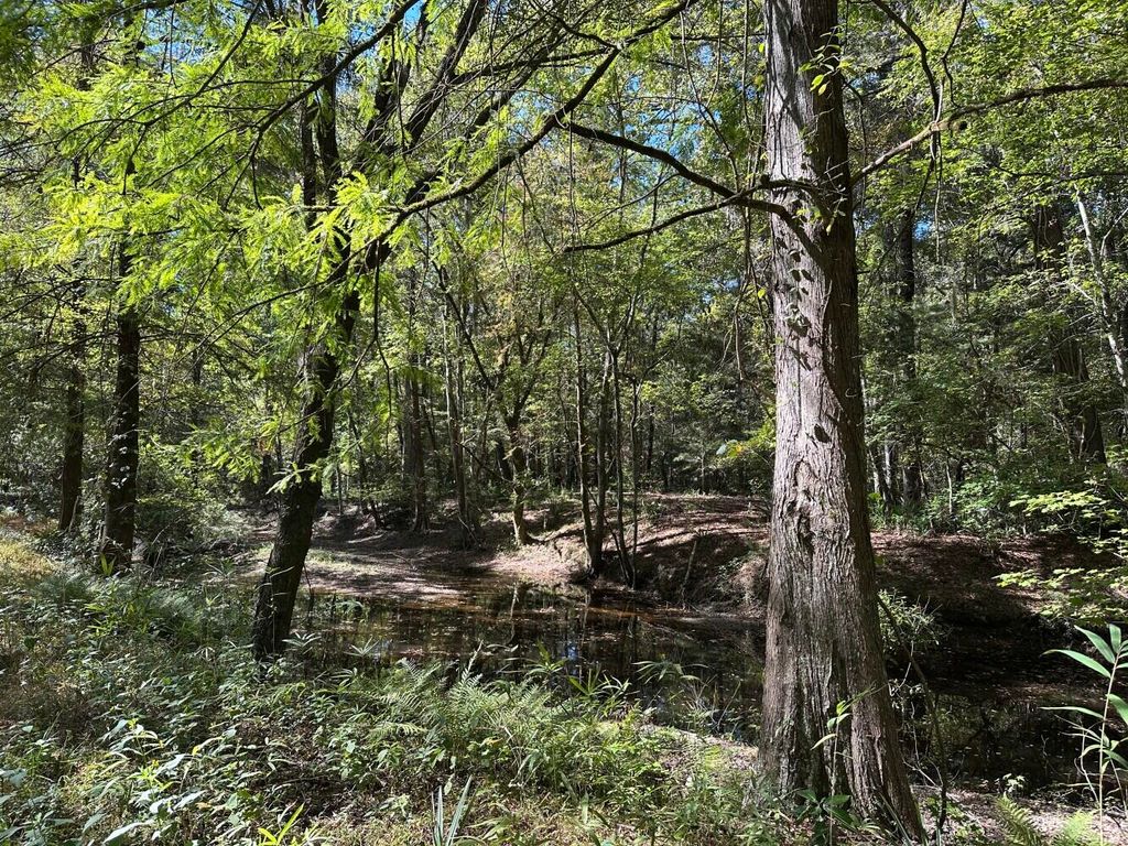 Image 2 of property listing at 0 Big Bird Lane, Summerville, SC 29483