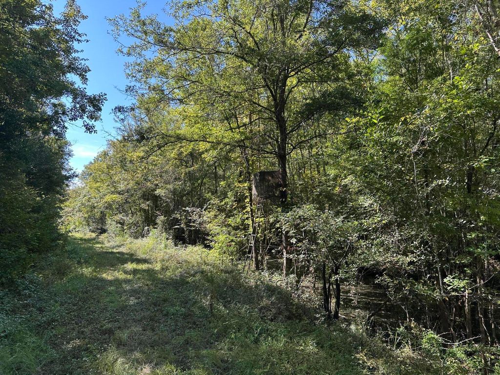 Image 3 of property listing at 0 Big Bird Lane, Summerville, SC 29483