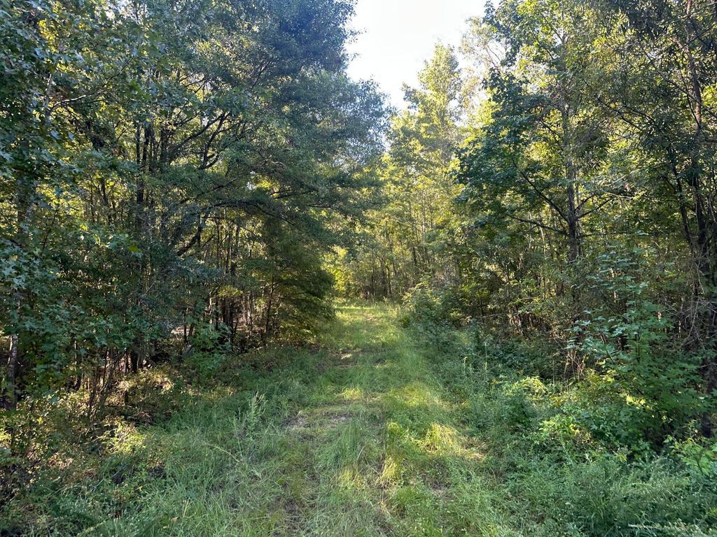 Image 5 of property listing at 0 Big Bird Lane, Summerville, SC 29483