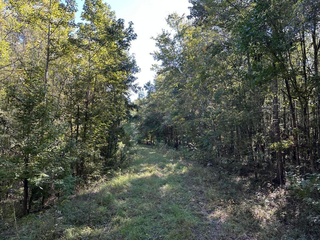 Image 6 of property listing at 0 Big Bird Lane, Summerville, SC 29483