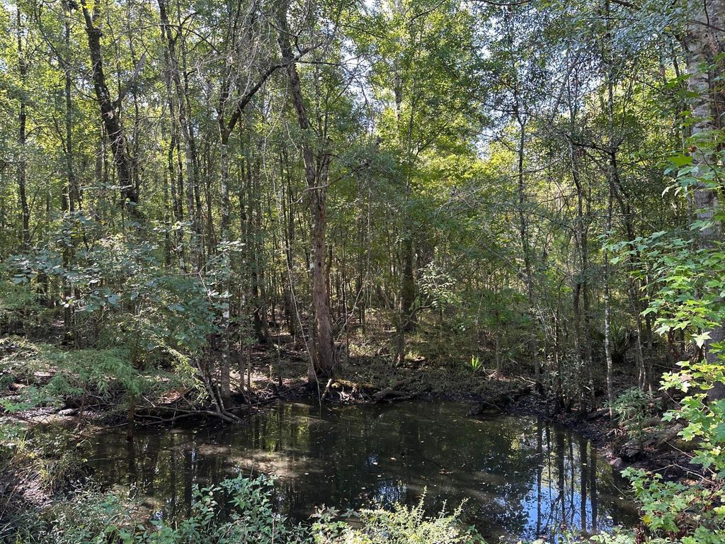 Image 7 of property listing at 0 Big Bird Lane, Summerville, SC 29483