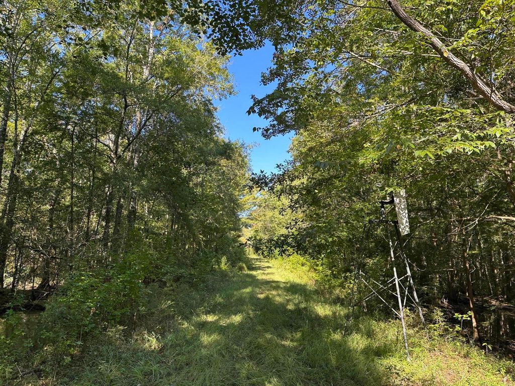 Image 8 of property listing at 0 Big Bird Lane, Summerville, SC 29483