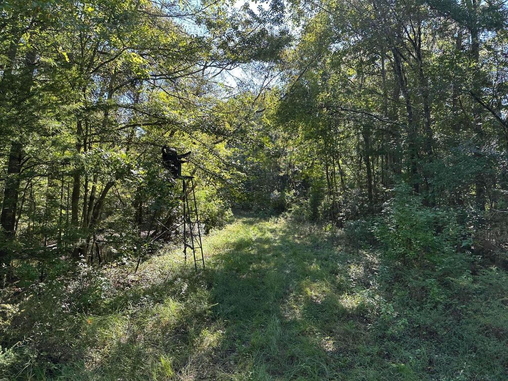 Image 9 of property listing at 0 Big Bird Lane, Summerville, SC 29483