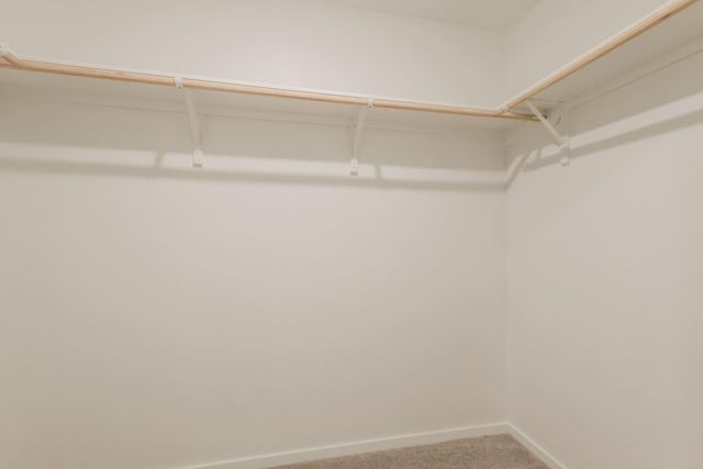 15290 Abella Drive, Conroe, TX 77316