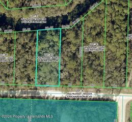 34338 BERRYHILL Drive, Webster, FL 33597