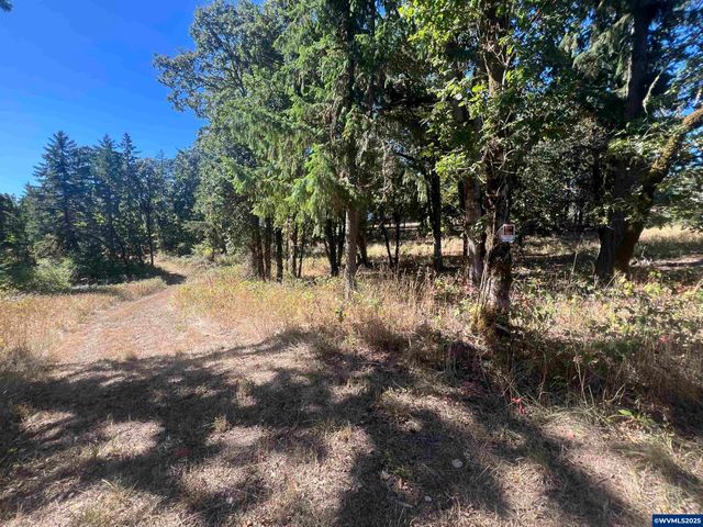 Lot 2 Orchard Knob Rd, Dallas, OR 97338