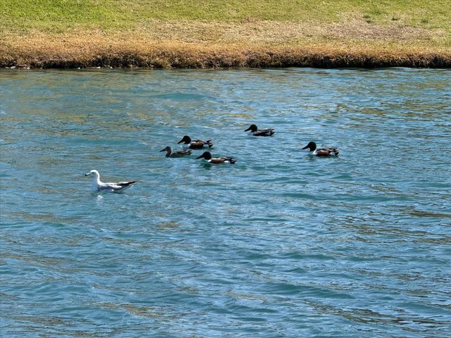 12721 Old MacGregor Lane, Fort Worth, TX 76244