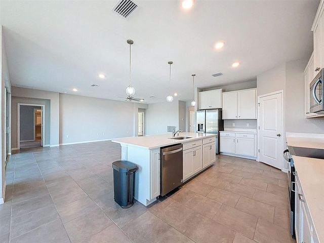 10559 BRIDGEGATE HEIGHTS LOOP, San Antonio, FL 33576