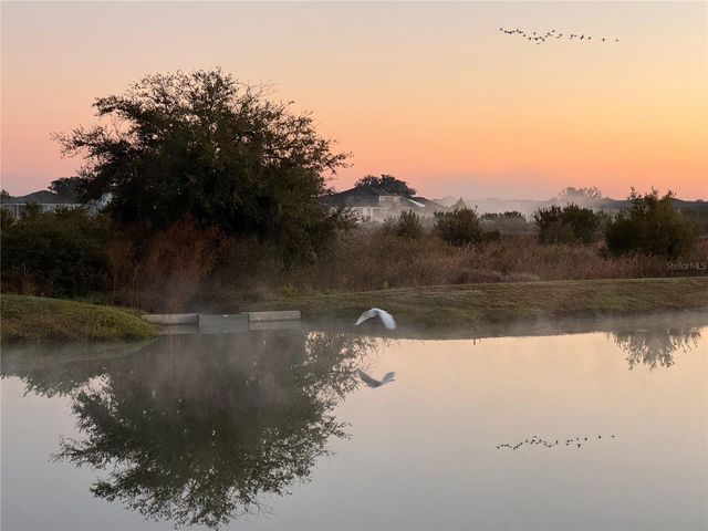 10559 BRIDGEGATE HEIGHTS LOOP, San Antonio, FL 33576