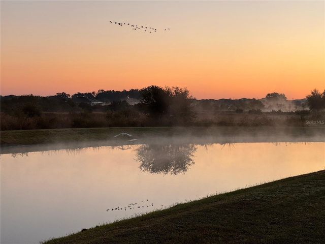 10559 BRIDGEGATE HEIGHTS LOOP, San Antonio, FL 33576