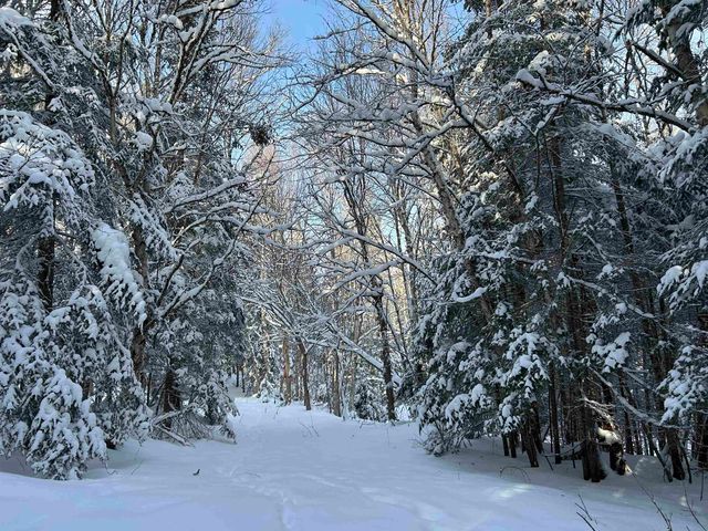 242 Noyes Road, Stewartstown, NH 03576