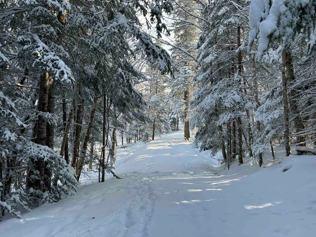 242 Noyes Road, Stewartstown, NH 03576