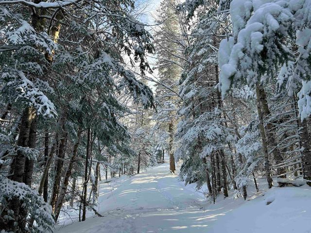 242 Noyes Road, Stewartstown, NH 03576