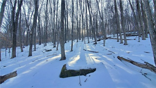 731 East Handsome Brook Road, Franklin, NY 13775