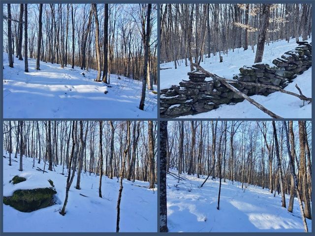 731 East Handsome Brook Road, Franklin, NY 13775