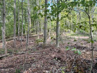 Lot 4 Highway 70s, Rogersville, TN 37857